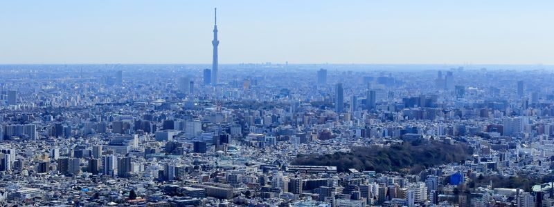 Sunshine 60 Observatory Tenbou Park Admission in Tokyo - What to know before you go
