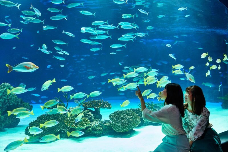 Sunshine Aquarium and SKY CIRCUS Sunshine 60 Observatory Ticket - How much time to allow at the aquarium