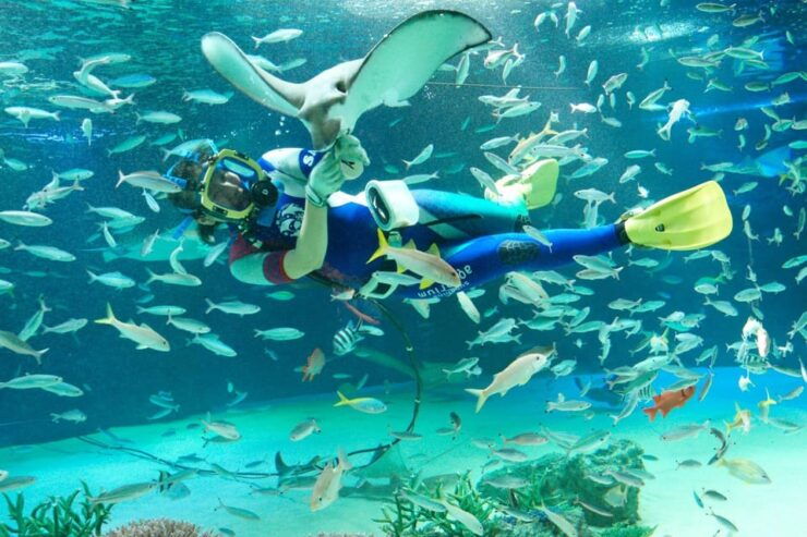 Sunshine Aquarium - Ticket Information