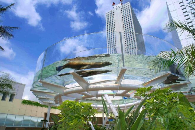 Sunshine Aquarium - Business Hours and Location