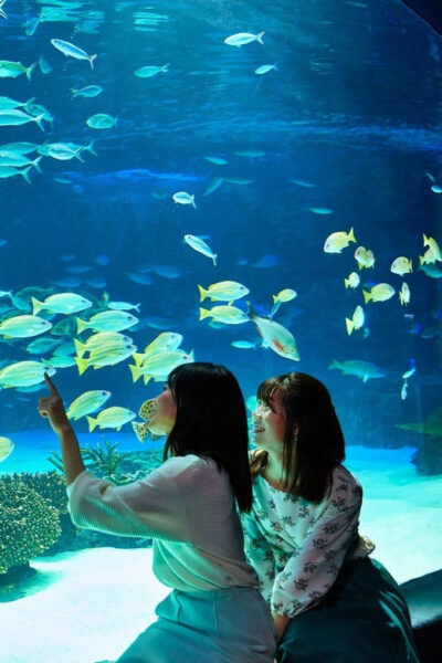 Sunshine Aquarium - What to Expect at Sunshine Aquarium