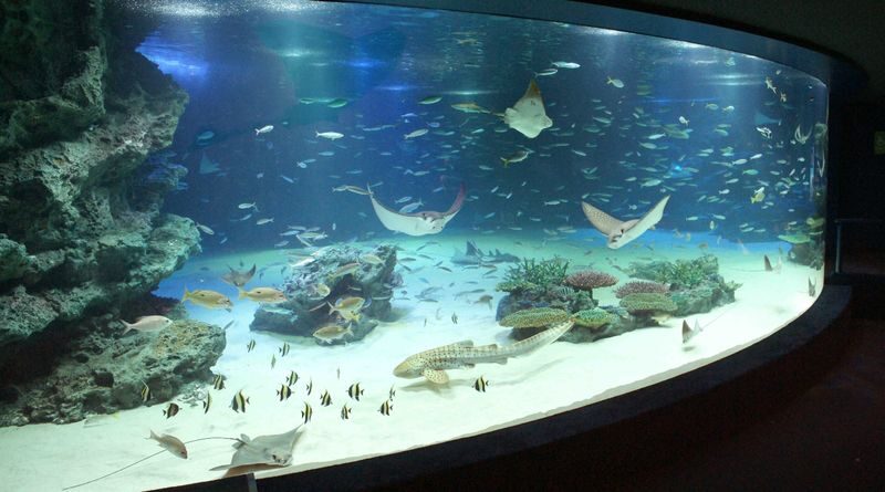 Sunshine Aquarium Ticket in Tokyo - Why this rooftop aquarium fits an Ikebukuro day