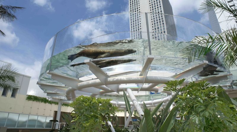 Sunshine Aquarium Ticket in Tokyo - Start outdoors with the Sunshine Aqua Ring