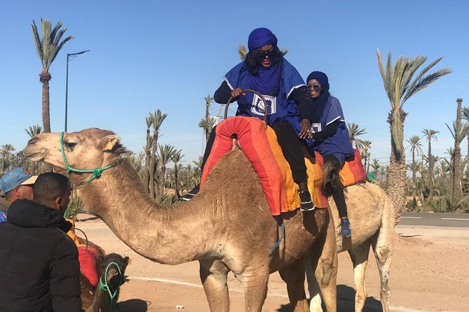 Sunshine Camel Ride in Marrakech - Good To Know