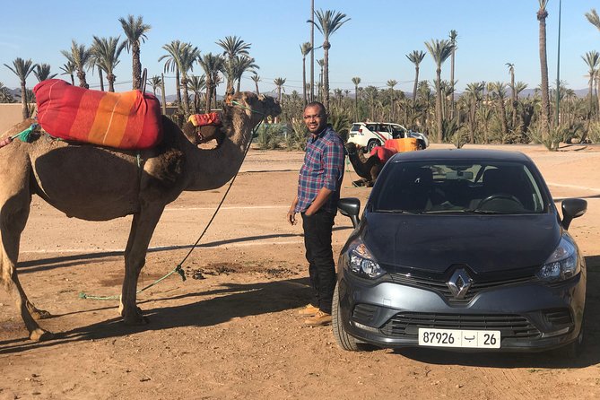 Sunshine Camel Ride in Marrakech - Pickup Options