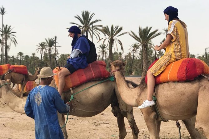 Sunshine Camel Ride in Marrakech - Activity Accessibility