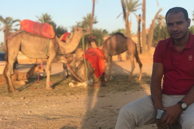 Sunshine Camel Ride in Marrakech - Refund Policy