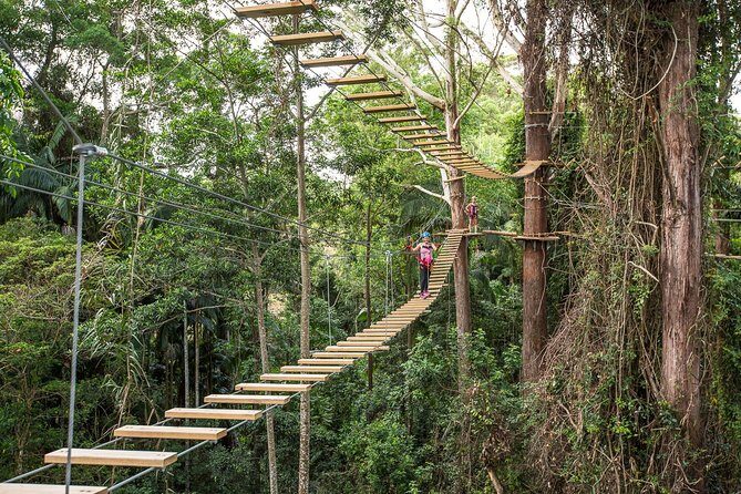 Sunshine Coast Adventure Park TreeTop Challenge - Good To Know