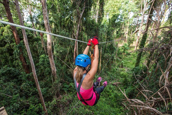 Sunshine Coast Adventure Park TreeTop Challenge - Pricing & Value