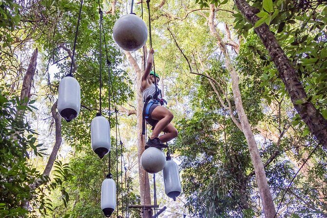Sunshine Coast Adventure Park TreeTop Challenge - The Sum Up