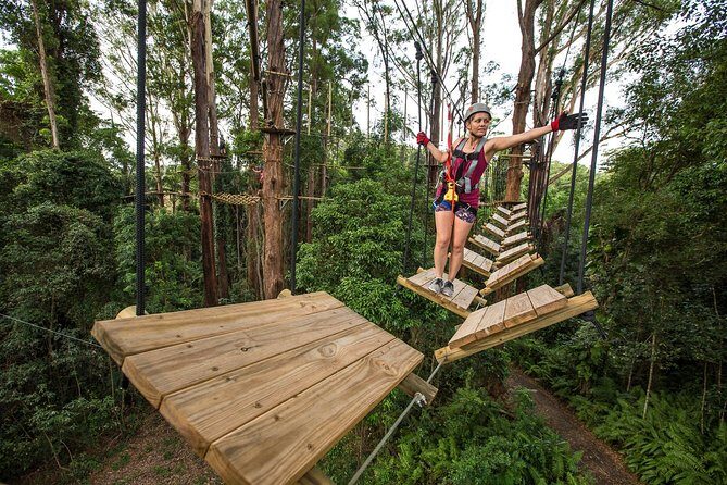Sunshine Coast Adventure Park TreeTop Challenge - FAQ