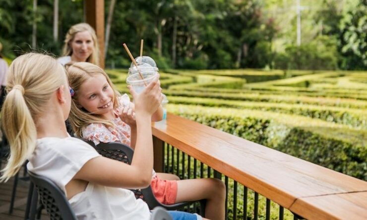 Sunshine Coast: Amaze World All-Day Entry Ticket - Experience Highlights