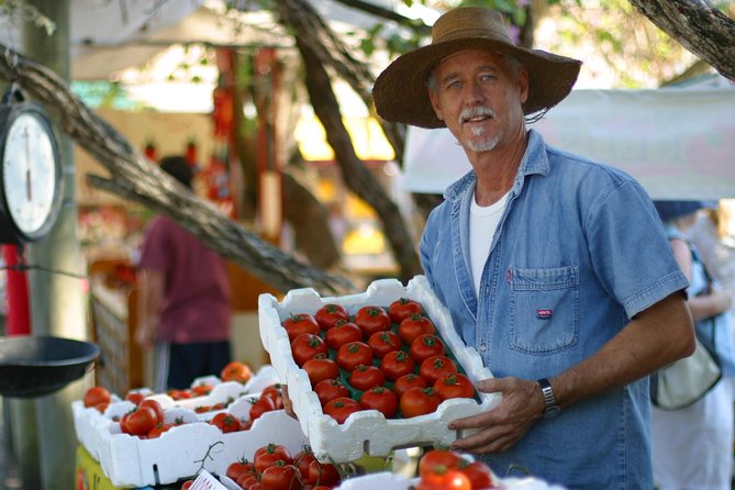 Sunshine Coast and Noosa Eumundi Markets Bus Transfer - Reviews and Feedback