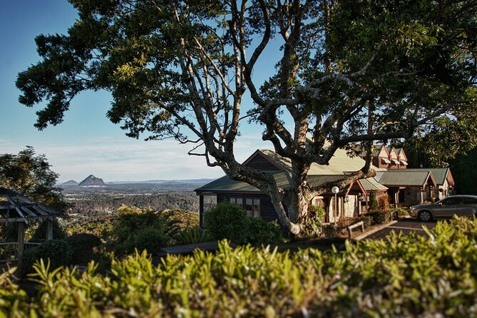 Sunshine Coast and Noosa Wine, Beer and Whisky Private Tour - Traveler Reviews