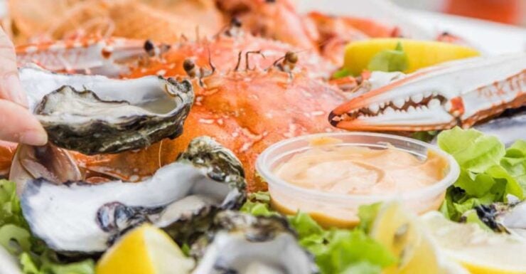 Sunshine Coast: Country to Coast Luxury Day Tour - Activity Details