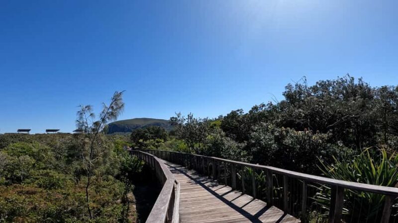 Sunshine Coast: Easy Peasy Novotel North E-Bike Tour - Good To Know