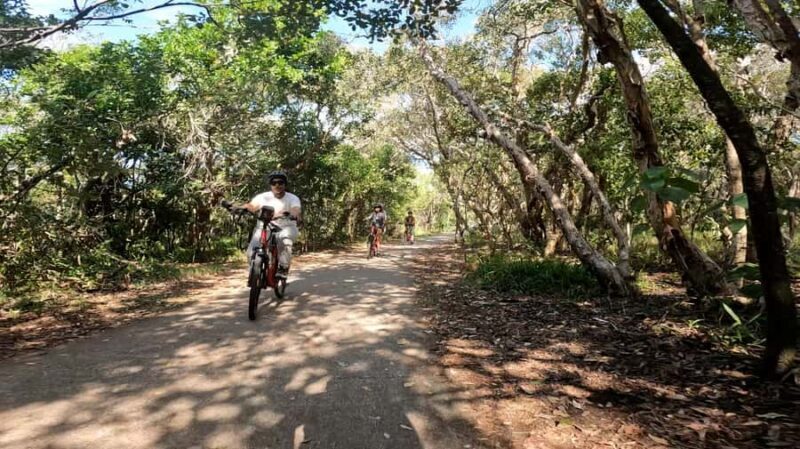 Sunshine Coast: Easy Peasy Novotel North E-Bike Tour - Practical Tips for Your Ride