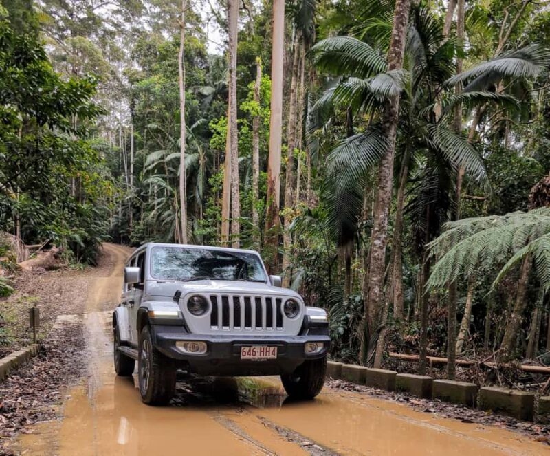 Sunshine Coast: Hinterland Adventure Private 4WD Jeep Tour - Final Thoughts: Is This Tour Worth It?