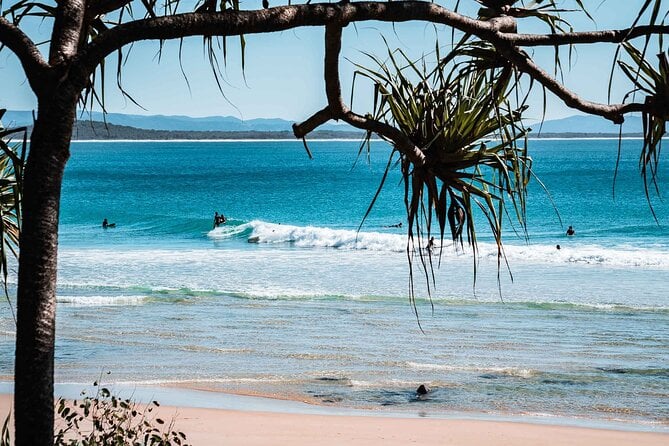 Sunshine Coast Hinterland and Noosa Day Trip From Brisbane Incl Eumundi Markets - Meeting Point Details