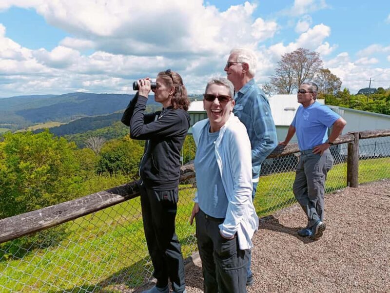 Sunshine Coast Hinterland Private Tour from Brisbane - Why Choose This Tour?