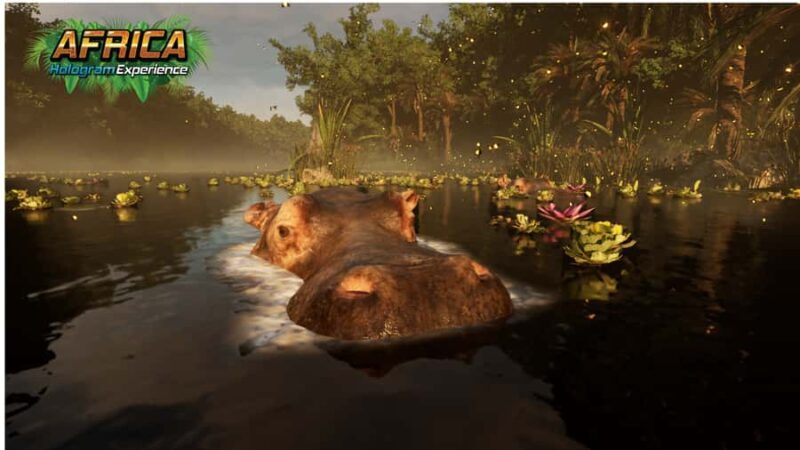 Sunshine Coast: Hologram Zoo Africa Adventure - Introduction to the Hologram Zoo Africa Adventure