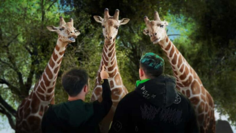 Sunshine Coast: Hologram Zoo Africa Adventure - The Technology and Education Value