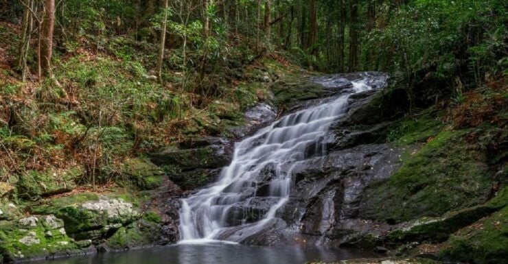 Sunshine Coast: Maleny Village and Kondalilla Falls Tour - Tour Booking Details