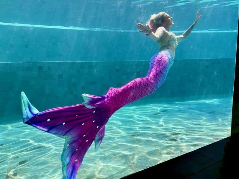 Sunshine Coast: Mermaid Swim Experience - The Value of the Mermaid Experience