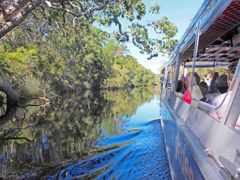 Sunshine Coast: Noosa Everglades, Hinterland & Boat Cruise - Good To Know