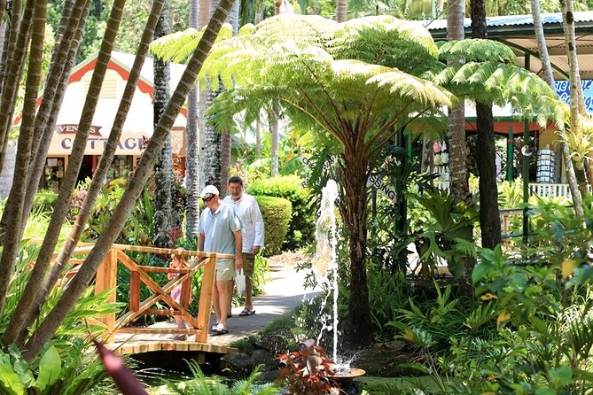Sunshine Coast & Noosa Half-Day Tour Inc. Ginger Factory & Lunch - Tour Highlights