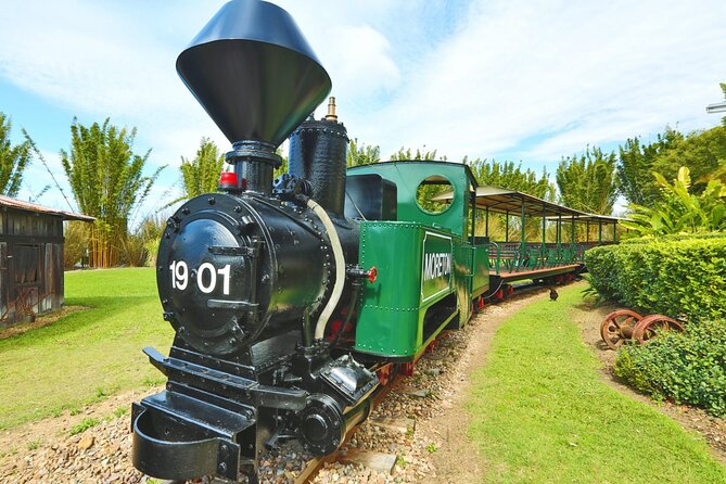 Sunshine Coast & Noosa Half-Day Tour Inc. Ginger Factory & Lunch - Common Questions