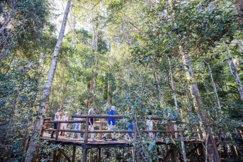 Sunshine Coast & Noosa Hinterland Scenic Culinary Experience - Practicalities and Comfort