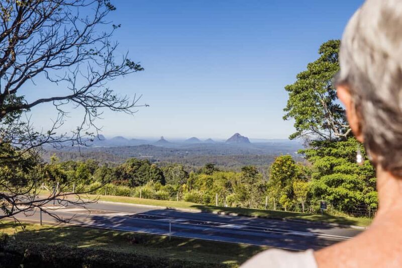 Sunshine Coast & Noosa Hinterland Scenic Culinary Experience - Authentic Experience and Local Insights