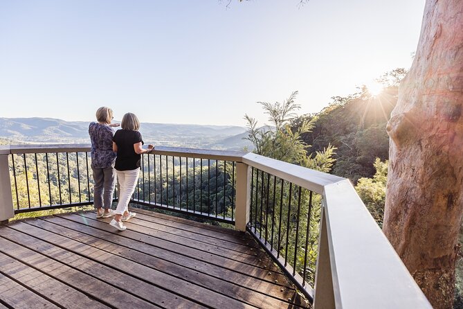 Sunshine Coast & Noosa Private Wine Tour Inc. Lunch & Tastings - Reviews