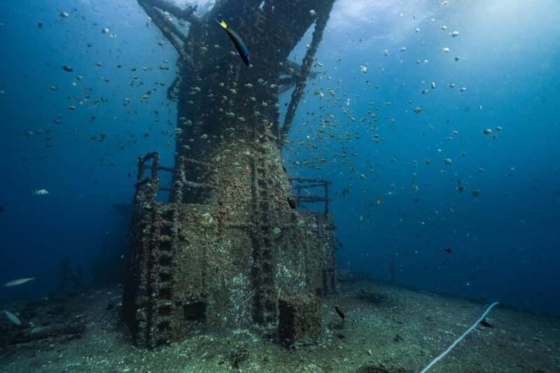 Sunshine Coast: Scuba Dive the Ex-HMAS Brisbane Ship Wreck - Frequently Asked Questions