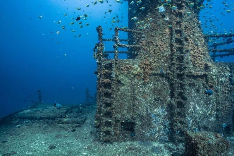 Sunshine Coast: Scuba Dive the Ex-HMAS Brisbane Ship Wreck - Final Thoughts