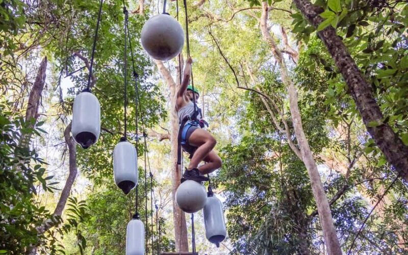 Sunshine Coast: Treetop Challenge Adventure Park - Final Thoughts