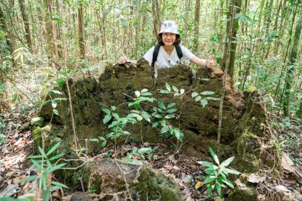 Suoi Tien 1-Day Trekking: Phu Quoc Excursion - Who Should Join