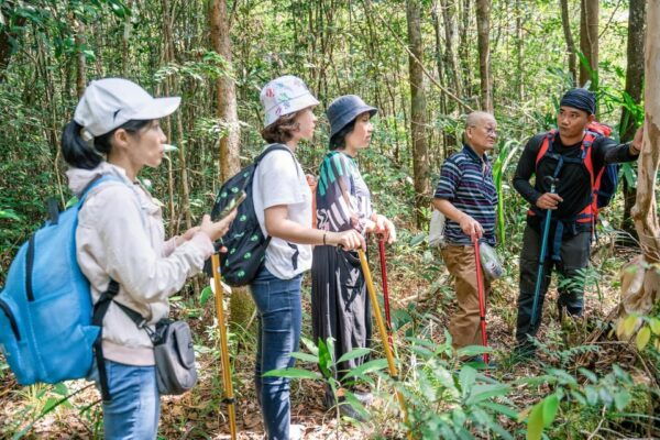 Suoi Tien 1-Day Trekking: Phu Quoc Excursion - Highlights of Suoi Tien