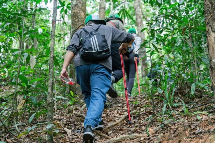 Suoi Tien 1-Day Trekking: Phu Quoc Excursion - Good To Know