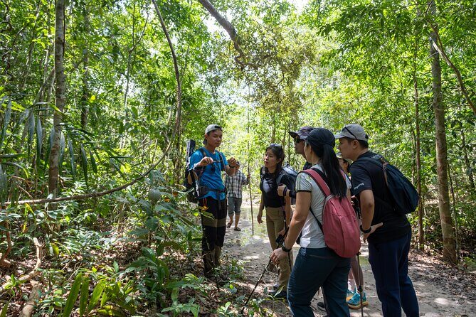 Suoi Tien 4-Hour Jungle Easy Trek and Spring Bath - In-Depth Review of the Tour