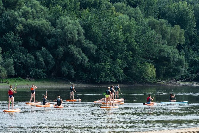 SUP Budapest: Sunset Tour - What to Expect