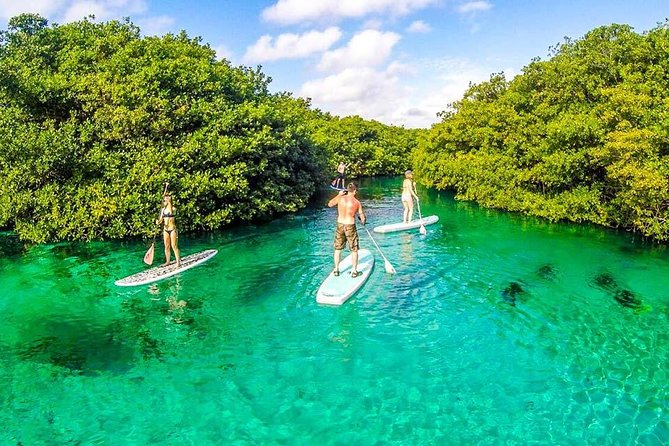SUP Cenote Tour- Private Paddleboard & Snorkel Tour - Tour Details