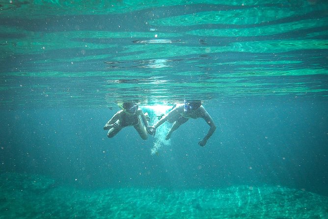 SUP Cenote Tour- Private Paddleboard & Snorkel Tour - Traveler Reviews