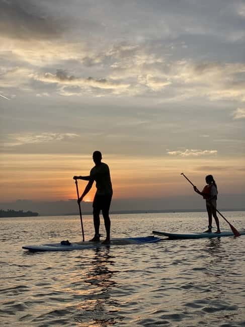 SUP in Kochi: Sunrise Stand-Up Paddleboarding Tour - Additional Activities and Options