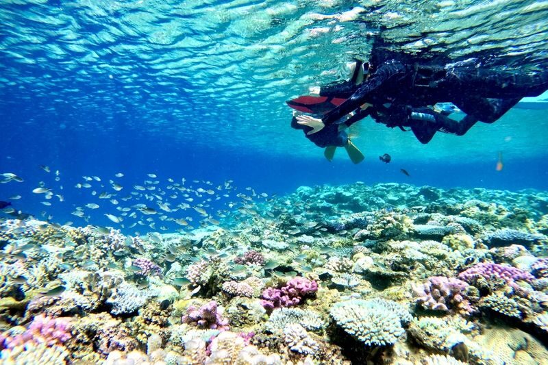 SUP, Kayak & Blue Cave Snorkeling Experience at Okinawas Natural Beach (Free Photos) - Momenbara Beach: a quieter starting point