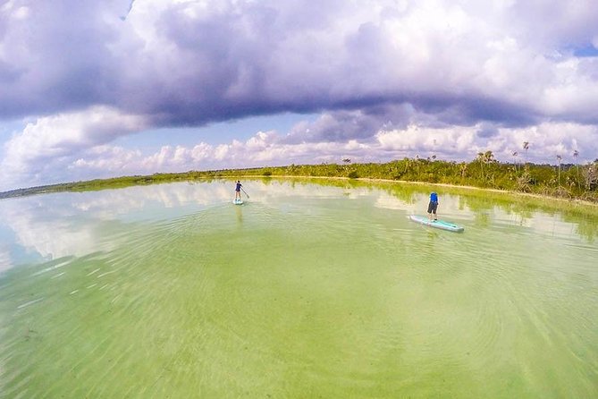 SUP Lagoon Tour- Private Paddleboard Tour - Questions and Help Center