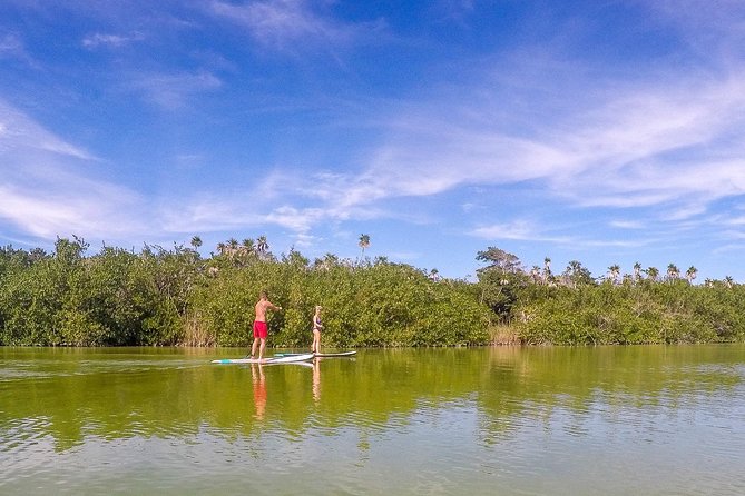 SUP Lagoon Tour- Private Paddleboard Tour - Directions