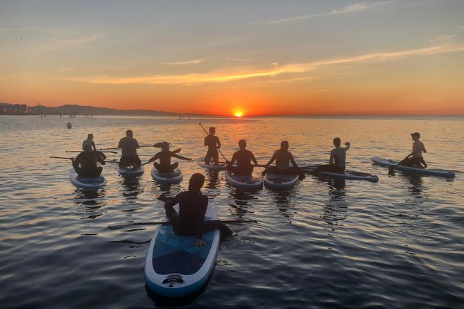 SUP Lesson at Valencia Beach - Overview and Description