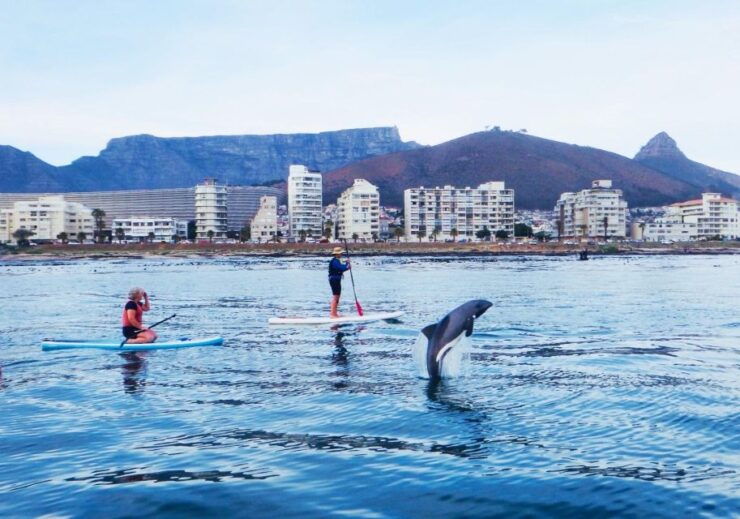 SUP Ocean Tour - Tour Highlights